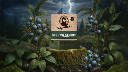 Dr. Squatch Sierra Storm bar soap